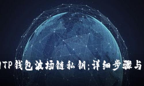 如何找回TP钱包波场链私钥：详细步骤与实用建议