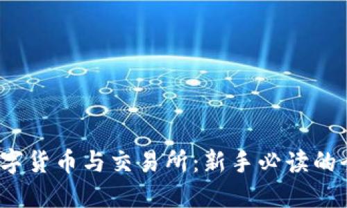 2023年数字货币与交易所：新手必读的全方位指南