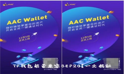 TP钱包能否兼容BEP20？一文揭秘