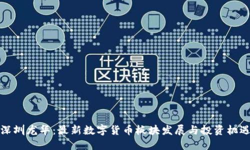 深圳龙华：最新数字货币板块发展与投资机遇