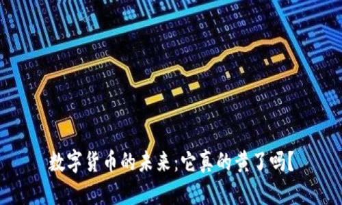 数字货币的未来：它真的黄了吗？