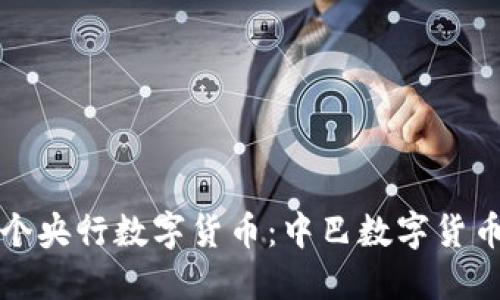 探索世界第一个央行数字货币：中巴数字货币的崛起与未来