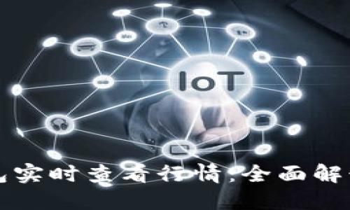 如何使用TP钱包实时查看行情：全面解读你的投资利器