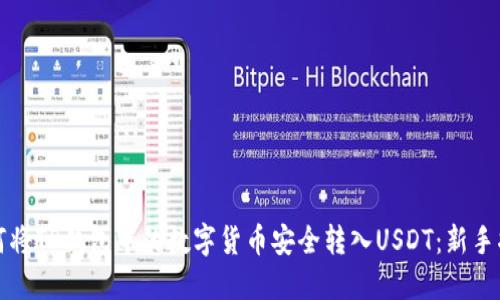 如何将TP钱包中的数字货币安全转入USDT：新手指南