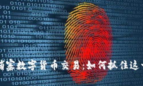 美国与柬埔寨数字货币交易：如何抓住这一全球趋势