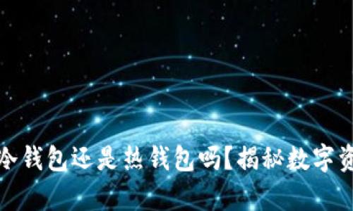 : 你知道TP钱包是冷钱包还是热钱包吗？揭秘数字资产安全存储的秘密
