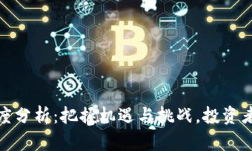 数字货币行业深度分析：把握机遇与挑战，投资者不可不知的趋势