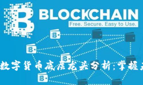 2023年数字货币底层龙头分析：掌握未来趋势