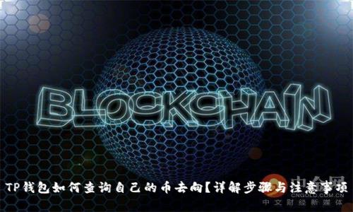 TP钱包如何查询自己的币去向？详解步骤与注意事项