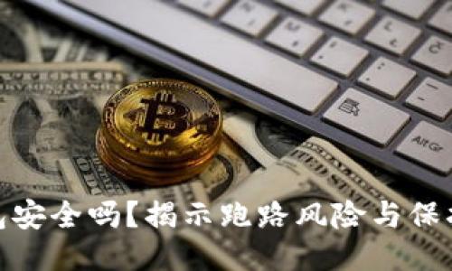 TP钱包安全吗？揭示跑路风险与保护措施