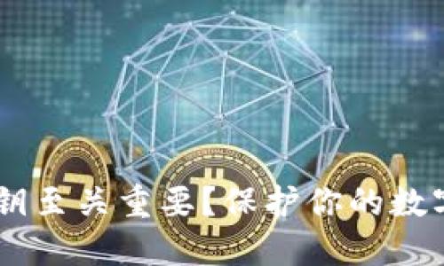 为什么T P钱包密钥至关重要？保护你的数字资产从这里开始！