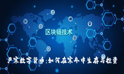 严寒数字货币：如何在寒冬中生存与投资