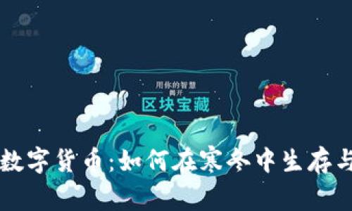 严寒数字货币：如何在寒冬中生存与投资