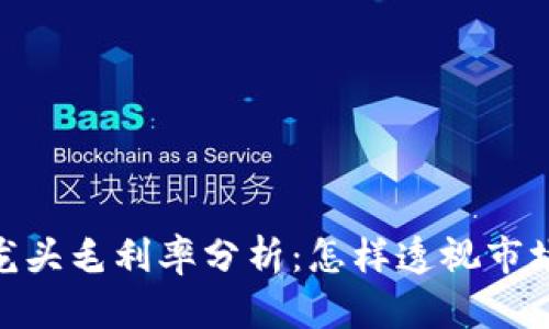 数字货币的龙头毛利率分析：怎样透视市场潜力与风险