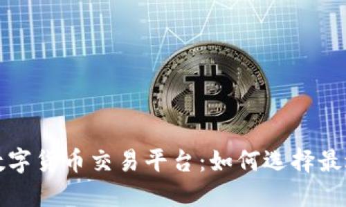 揭秘全球最大数字货币交易平台：如何选择最适合您的交易所