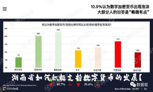 湖南省如何积极支持数字货币的发展？