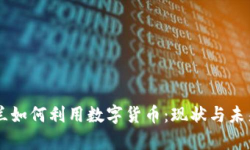乌克兰如何利用数字货币：现状与未来展望