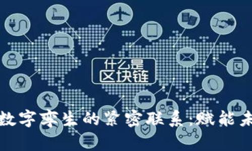 探索数字货币与数字孪生的紧密联系：赋能未来经济的新范式
