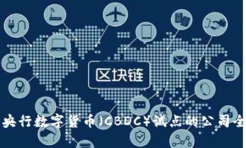 参与央行数字货币（CBDC）试点的公司全解析